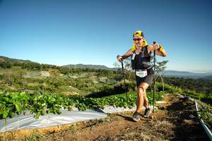 BIB: 
                            <button type="button" onclick="openModal(19120590)" class="btn btn-primary btn-sm float-right btn-popup" data-toggle="modal" data-target=".modal-high-quality">
                        <i class="fas fa-shopping-cart"></i> Add to Cart
                    </button>
                                            <button type="button" onclick="isThisMe(19120590, true)" class="btn btn-success btn-sm float-right btn-popup btn-isme hidden" data-toggle="tooltip" data-placement="bottom" title="นี่คือรูปของคุณใช่ไหม คลิกที่นี่เพื่อเอาเข้าอัลบั้ม">
                        <i class="fas fa-plus"></i> Add to album
                    </button>
                    <button type="button" onclick="isThisMe(19120590, false)" class="btn btn-warning btn-sm float-right btn-popup btn-isnotme hidden">
                        <i class="fas fa-ban"></i> Remove from album
                    </button>